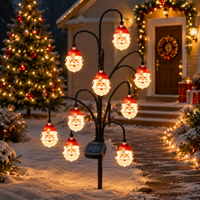 🎅🏾Santa Face Lights