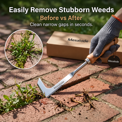🌿 Crack Weeder Tool – Razor-Sharp Stainless Steel Weed Remover