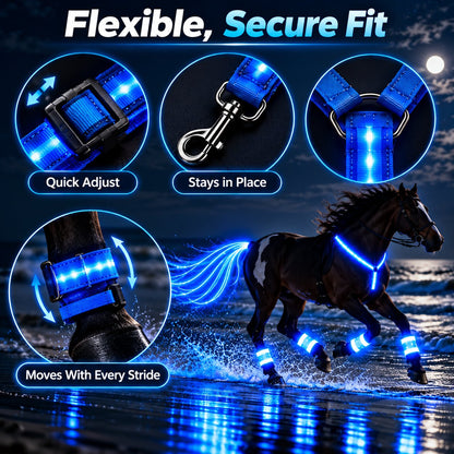 🎃Halloween Deal 50% OFF! 360° Illuminated Horse Harness & Glow Kit 🐎✨