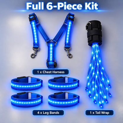 🎃Halloween Deal 50% OFF! 360° Illuminated Horse Harness & Glow Kit 🐎✨