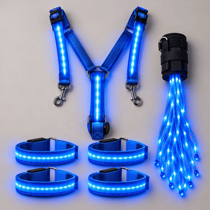 🎃Halloween Deal 50% OFF! 360° Illuminated Horse Harness & Glow Kit 🐎✨