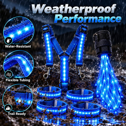 🎃Halloween Deal 50% OFF! 360° Illuminated Horse Harness & Glow Kit 🐎✨